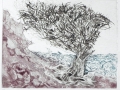 Steilküste VI, Der Baum, 2011, Kaltnadel und Farbaquatinta